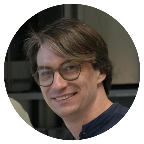 Prof. Dr. Helge Stein